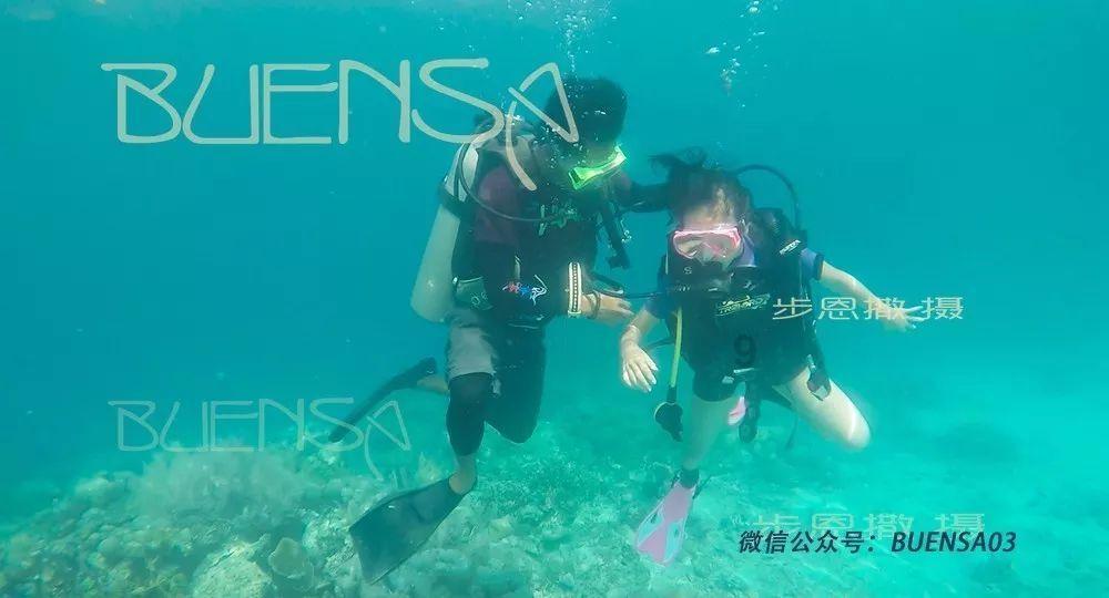 写树好像是在等人的诗句？